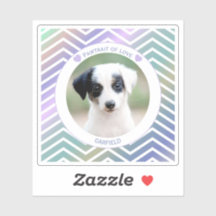 photo pet lovers modern stripes love dogs