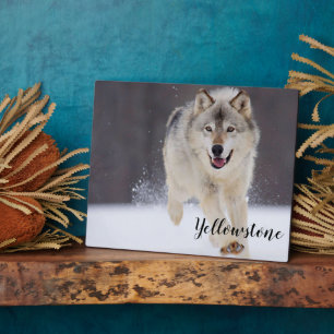 Photo Plaque-Yellowstone Wolf Plaque