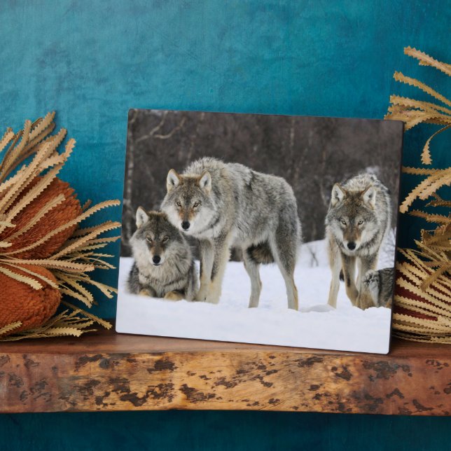 Photo Plaque-Yellowstone Wolves Plaque (Side)