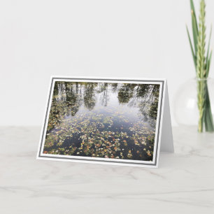 Photo Pond With Leaves and Tree Reflections Card