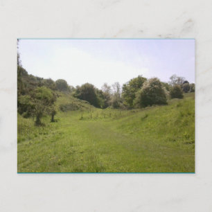 Photo Postcard 18 Grassy Valley Track