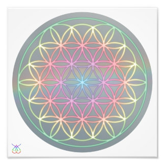 Photo Poster ~ Healing~Energy Flower Of Life