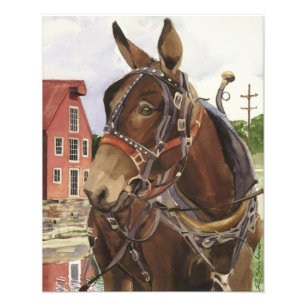 Photo poster, mule print