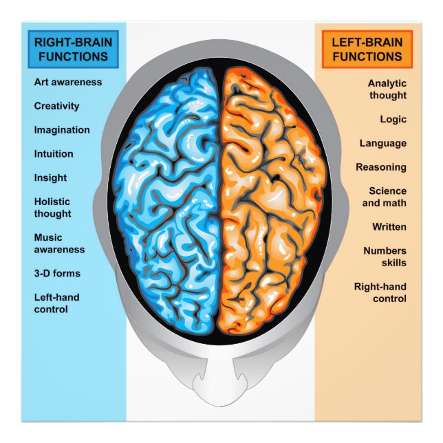 Photo print Human brain left and right functions (Front)