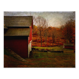 Photo Print-Red Barn Resting Print