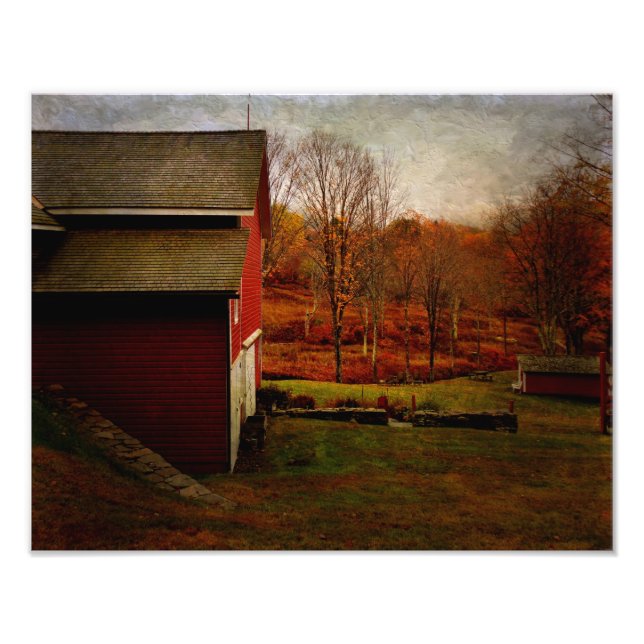 Photo Print-Red Barn Resting Print (Front)
