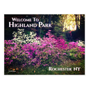 Photo Print- Welcome to Highland Park Rochester NY