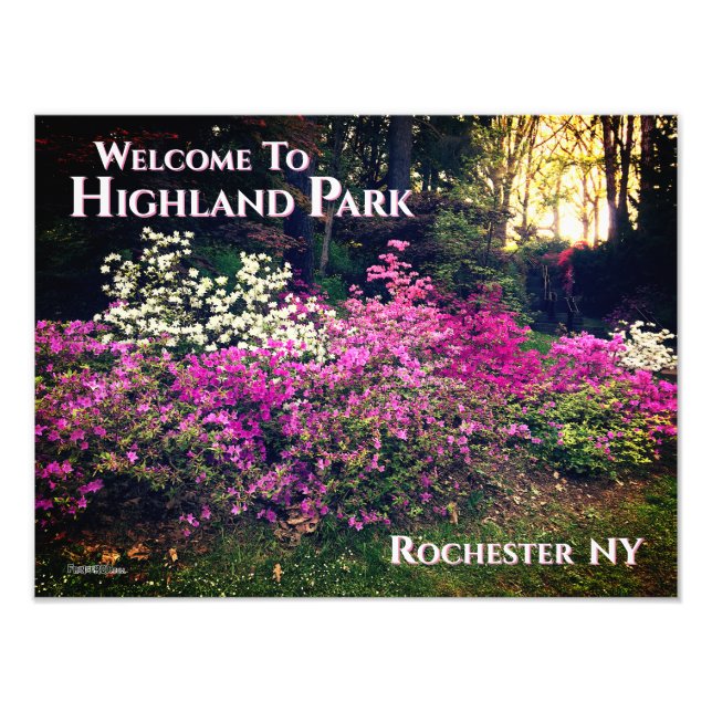 Photo Print- Welcome to Highland Park Rochester NY (Front)