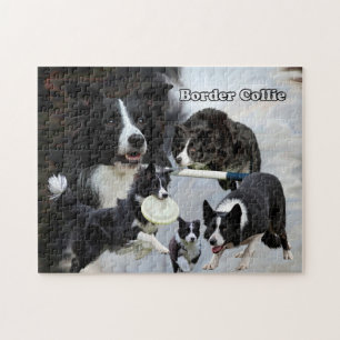 photo puzzle border collie collage