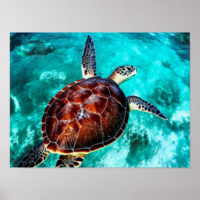 Photo Realistic Sea Turtle In Turquoise Water Poster (Front)
