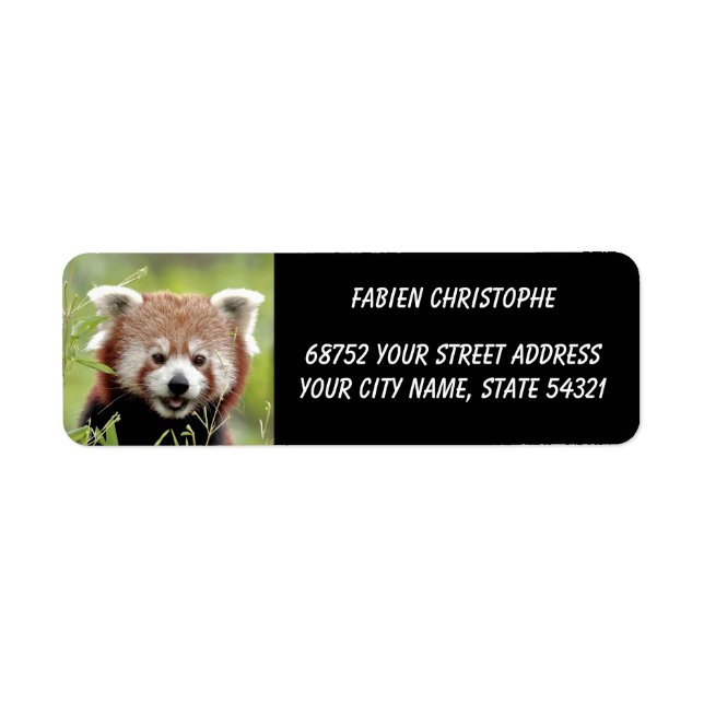 Photo red panda , animals 0533. return address label (Front)