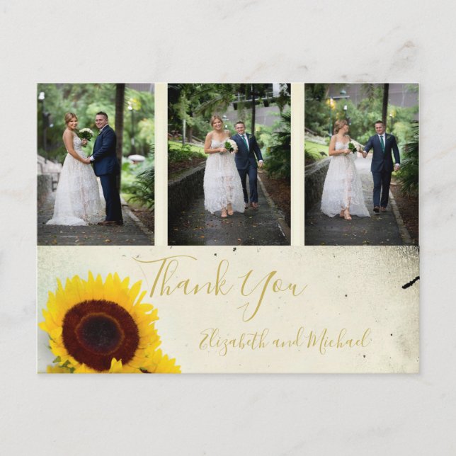 Photo Rustic Sunflower Elegant Wedding Thank You Postcard (Front)