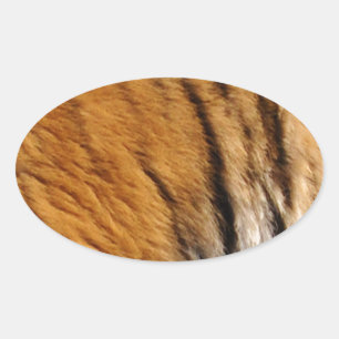 Photo-sampled Tiger Stripes Big Cat Wildlife Oval Sticker