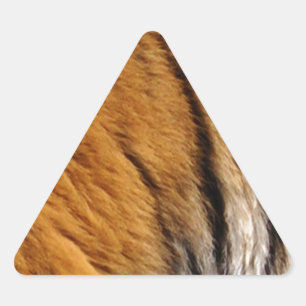 Photo-sampled Tiger Stripes Big Cat Wildlife Triangle Sticker