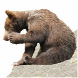 Photo Sculpture of grizzly bear cub 5x7<br><div class="desc">Photo Sculpture of grizzly bear cub 5x7  Created by bearsandmore</div>