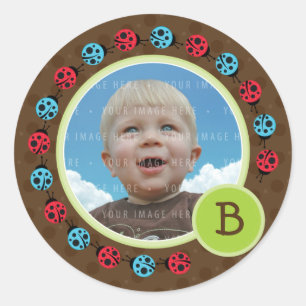 PHOTO SEAL :: ladybird circle 1