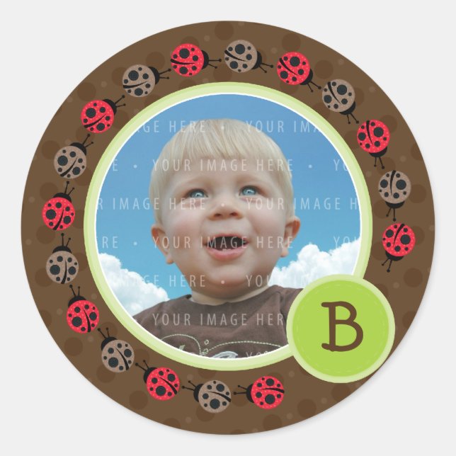 PHOTO SEAL :: ladybird circle 3 (Front)