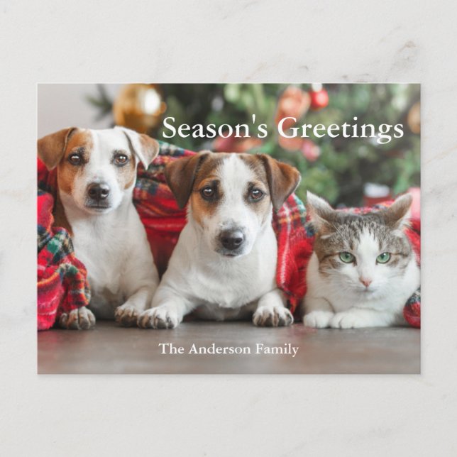 Photo Season's Greetings Holiday Postcard (Front)