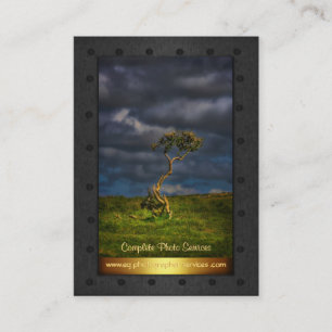 Photo Services - fine art lone bush, metal frame Business Card