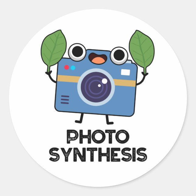 Photo Synthesis Funny Camera Pun Classic Round Sticker (Front)