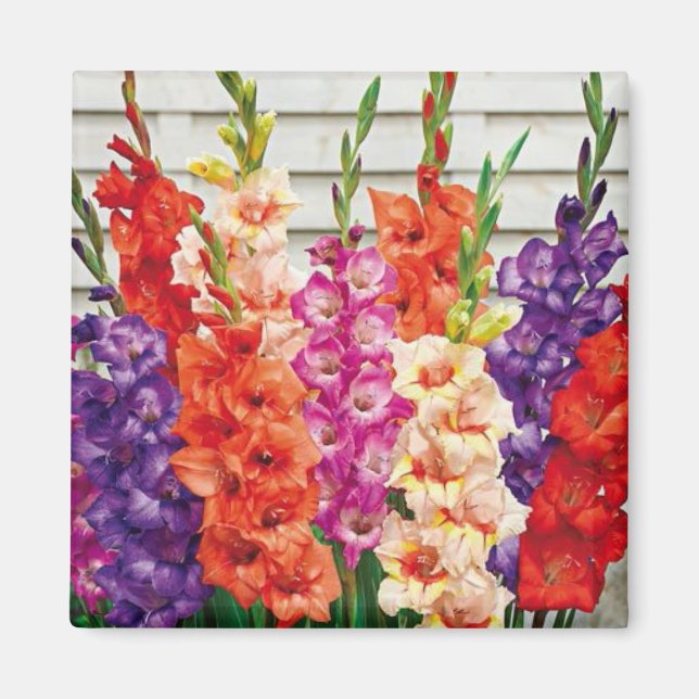 Photo Template 2 x 2 Square Refrigerator Magnet (Front)