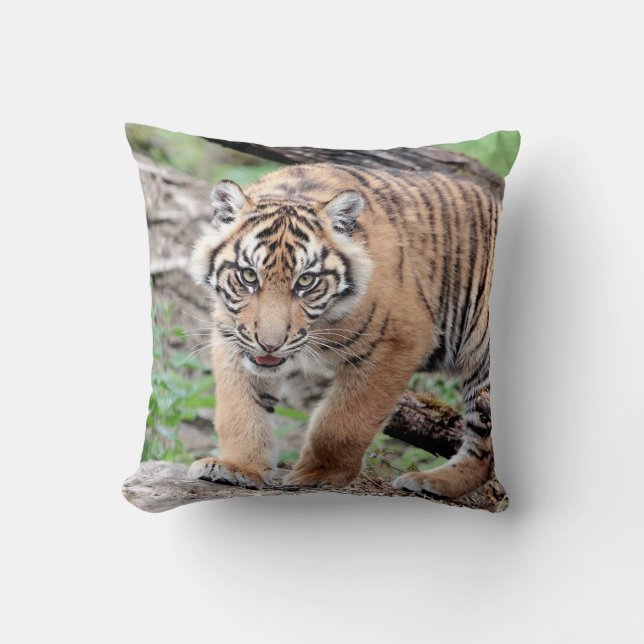 Photo tiger , animals 0287. cushion (Front)