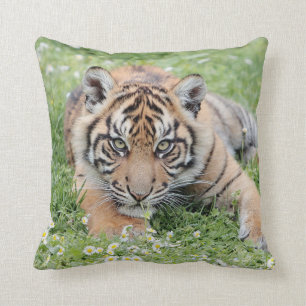 Photo tiger , animals 0287. cushion