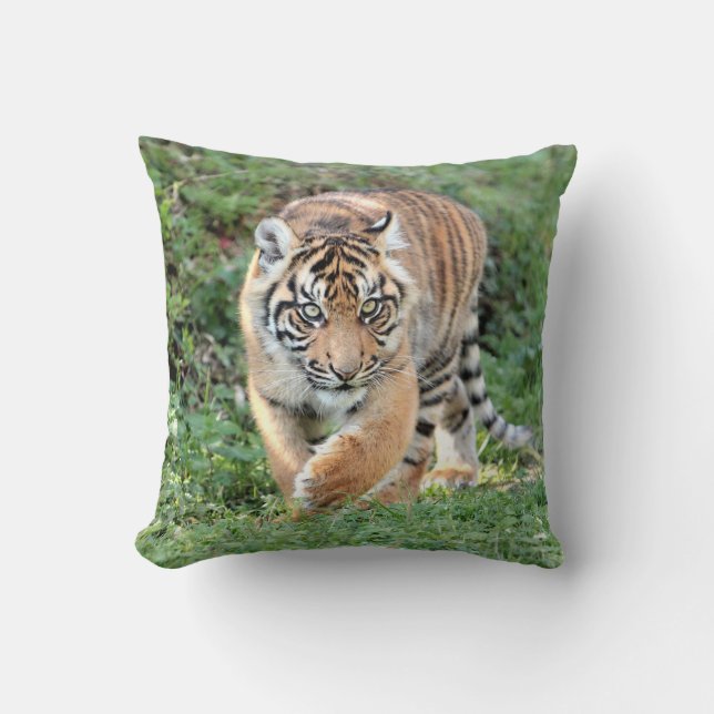 Photo tiger , cat , animals . throw pillow (Front)