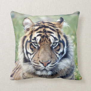 Photo tiger , cat , animals . throw pillow