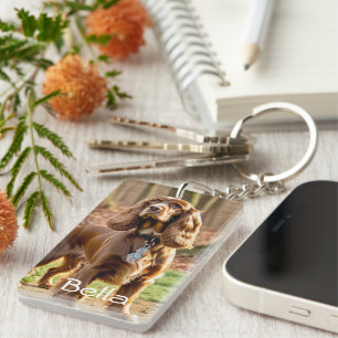 Photo & Watercolor Cocker Spaniel Personalize Key Ring