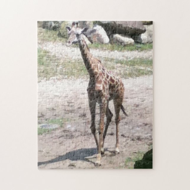 Photo Young Giraffe Walking Jigsaw Puzzles (Vertical)