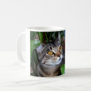 Photo Your Pet Cat Coffee Mug