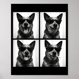 Photobooth Australian Cattle Dog Funny Dog Selfie Poster