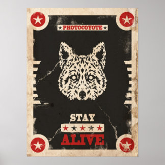 Photocoyote poster 2014 3