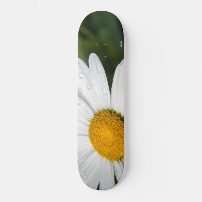 photograph a margueritte, drop of water, make skateboard (Front)