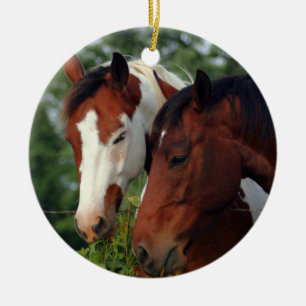 Photograph Horse Ceramic Tree Decoration