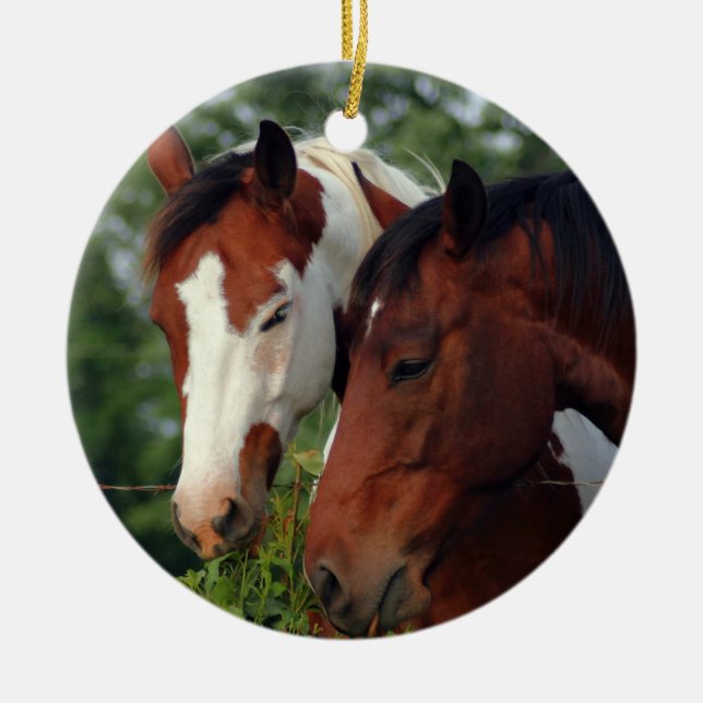 Photograph Horse Ceramic Tree Decoration (Front)