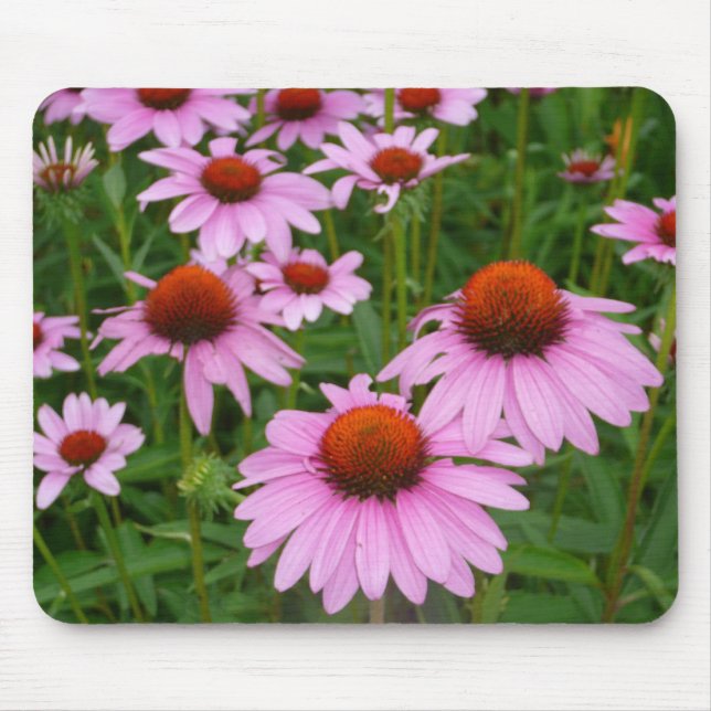 Photograph Hot Pink Flowers in Garden Mouse Pad (Front)