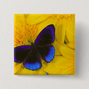 Photograph of Butterfly 15 Cm Square Badge
