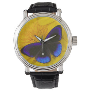 Photograph of Butterfly Watch