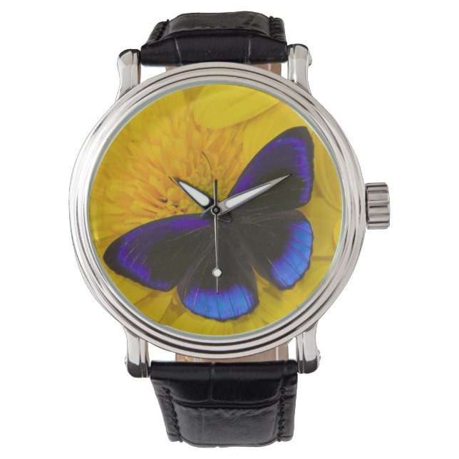 Photograph of Butterfly Watch (Front)