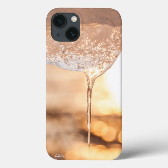 photograph of ice Case-Mate iPhone case (Back)