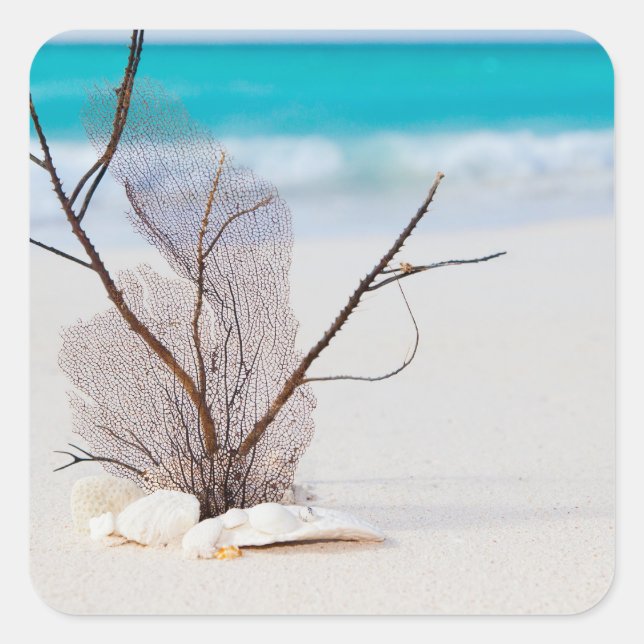 Photograph of Seashells on a Beach Square Sticker (Front)
