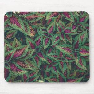 Photograph - Red and Green Leaves Mouse Pad