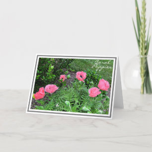 Photograph Six Coral Coloured Poppies in Garden Card