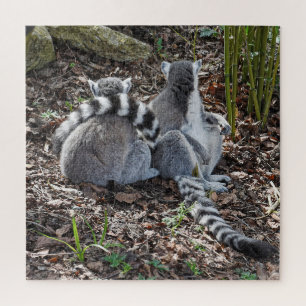 Photograph Two Ring Tailed Lemurs Snuggling Square Jigsaw Puzzle