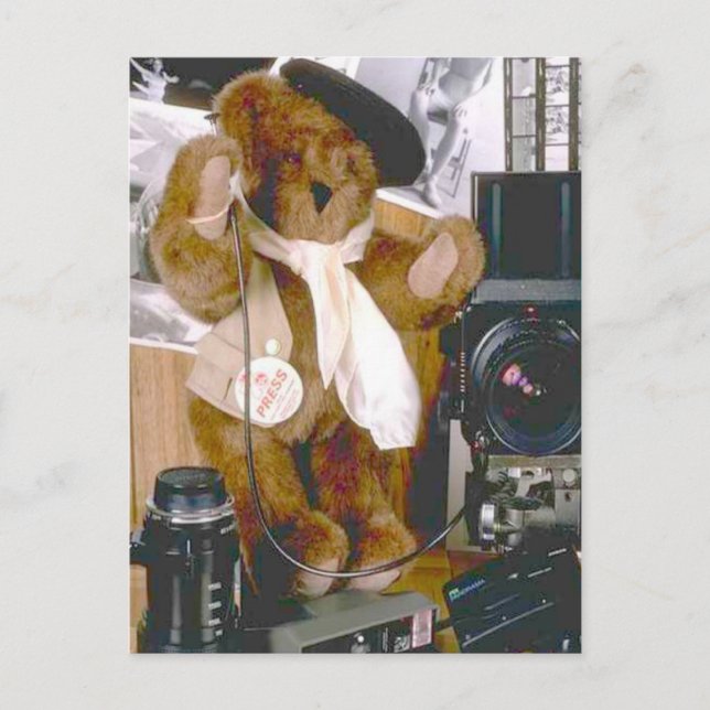 Photographer Bear - Press Journalist Postcard (Front)