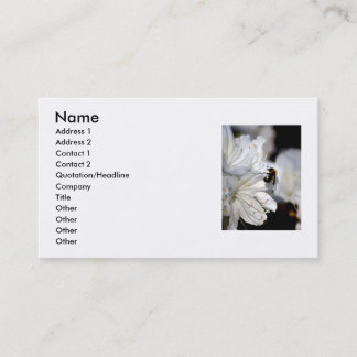 Photographer's business card