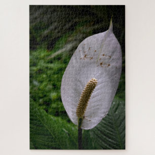 Photographic Art - Flower Jigsaw Puzzle