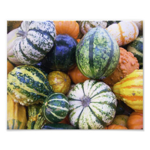 Photographic Print Fall Harvest
